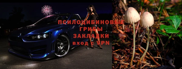 шишки Пролетарск